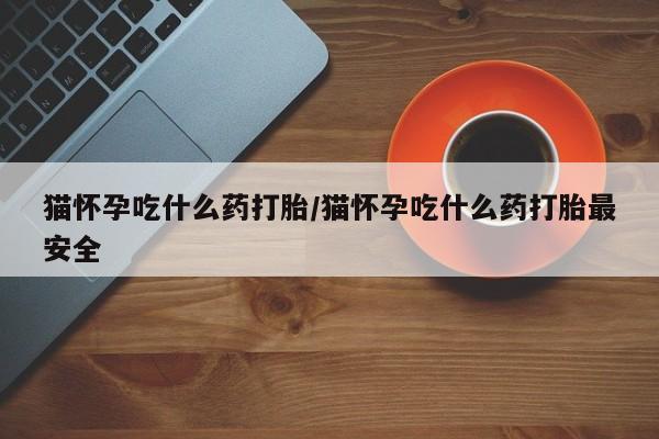 售米非司酮片包邮猫怀孕吃什么药打胎/猫怀孕吃什么药打胎最安全