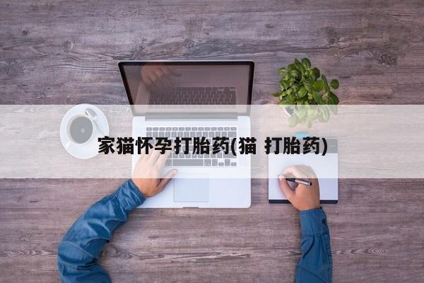 售米非司酮片包邮家猫怀孕打胎药(猫 打胎药)