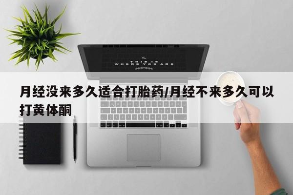售米非司酮片包邮月经没来多久适合打胎药/月经不来多久可以打黄体酮